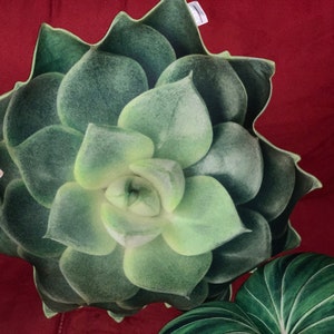 Heidi added a photo of their purchase