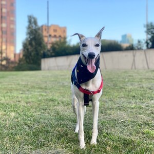 Charlotte ha añadido una foto de su compra