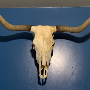 Brett added a photo of their purchase