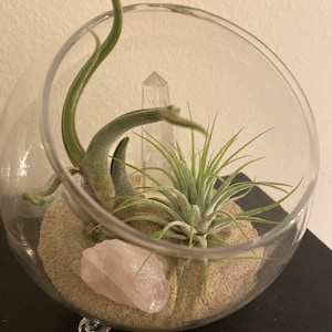 Catherine added a photo of their purchase