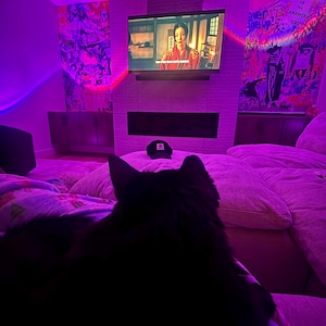 Maryrose heeft een foto van de aankoop toegevoegd