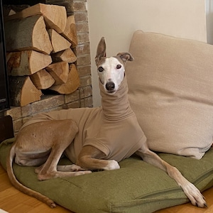 Alida added a photo of their purchase