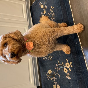 Jill added a photo of their purchase