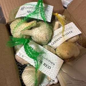 Chelsea adicionaram uma foto da sua compra