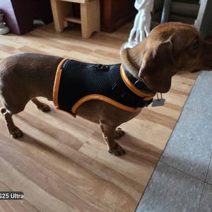 Aline added a photo of their purchase