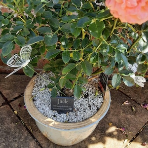 Patricia added a photo of their purchase