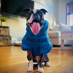 Shannon ha añadido una foto de su compra