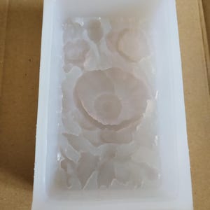 Kremena added a photo of their purchase