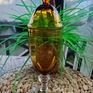 Rachel added a photo of their purchase