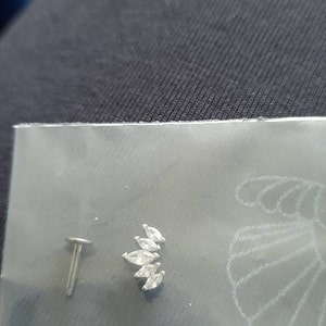 Lisa added a photo of their purchase