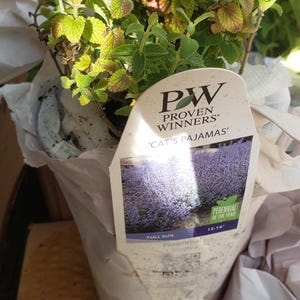 Robin hat ein Foto des gekauften Artikels hinzugefügt