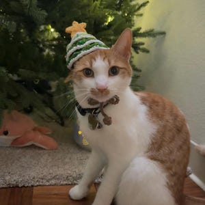 Laureen ha añadido una foto de su compra