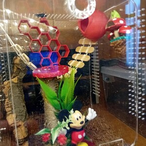 fiona ha añadido una foto de su compra