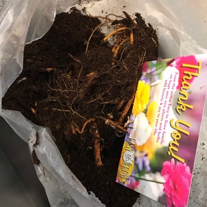 Anjana added a photo of their purchase