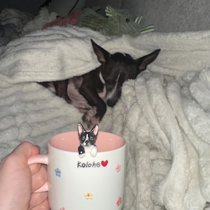 Joey added a photo of their purchase
