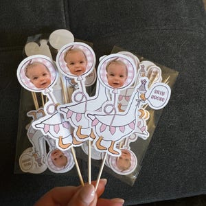 Silly Goose cupcake toppers | One Silly Goose birthday party | Custom party toppers | Silly Goose First Birthday | Goose Party Decor |
