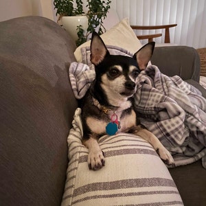 Chelsea ha añadido una foto de su compra