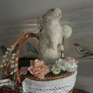 Single-head White Rabbit Taxidermy – Exquisite Vintage Snow White Single-head White Rabbit Taxidermy – Exquisite Vintage Snow White