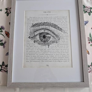 susannah added a photo of their purchase