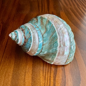 Cordelia added a photo of their purchase