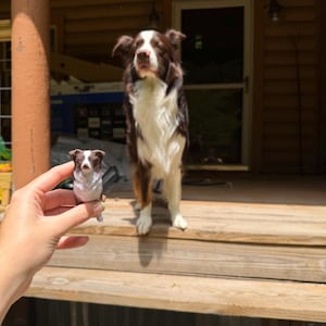 Rae added a photo of their purchase