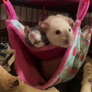 luv added a photo of their purchase