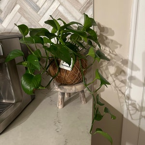 Adriana added a photo of their purchase