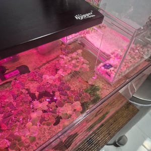 Charles heeft een foto van zijn/haar aankoop toegevoegd