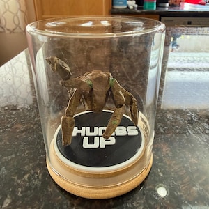 Amber added a photo of their purchase
