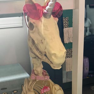 Mandy ha aggiunto una foto del proprio acquisto