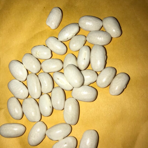 thumbnail image 2 of 25 Hungarian Hot Wax Pepper Seeds – Fresh Harvest – Easy Grow – For Gardens 2 of 5