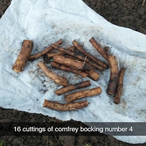 Michael Himes added a photo of their purchase