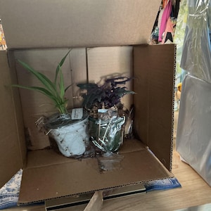 Sherian added a photo of their purchase