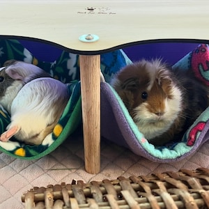 Lisa added a photo of their purchase