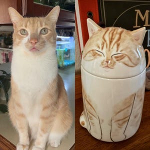 Cameron added a photo of their purchase