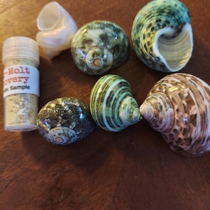 Silver added a photo of their purchase