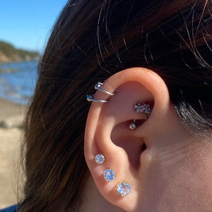 Cady added a photo of their purchase