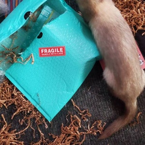 Brisa added a photo of their purchase