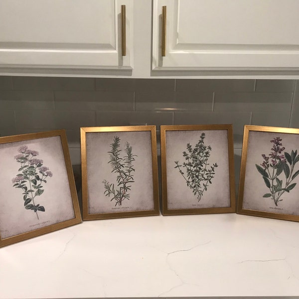 Herb Wall Art Set of 4, Printable Kitchen Herbs, Oregano, Rosemary ...