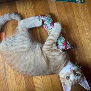 Cindy added a photo of their purchase