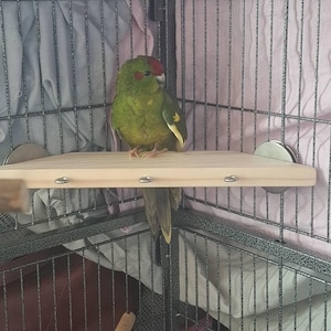 Zara dodał(a) zdjęcie swoich zakupów