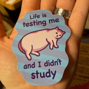 Aleks added a photo of their purchase