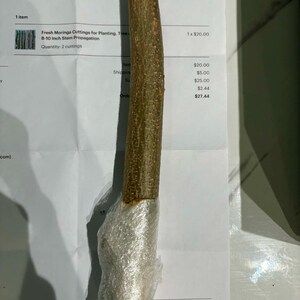 Mie added a photo of their purchase