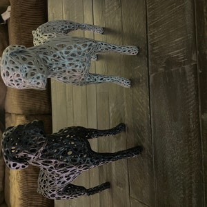 Isy added a photo of their purchase