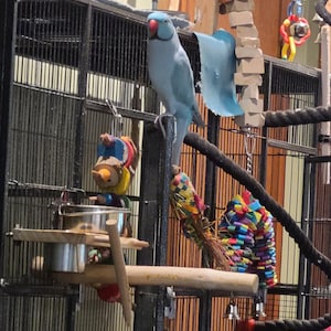 Jackie added a photo of their purchase