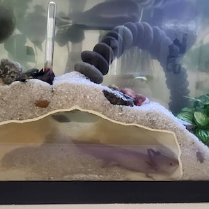 Corner Rocky Grotto | Create an adventure zone for your fish, shrimp, pleco, reptile and continue to observe them as they play and forage.