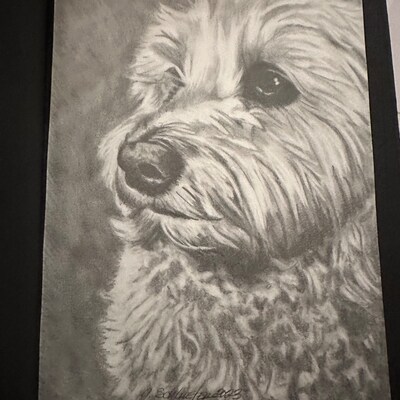 8x10 Bunny Rabbit Sweet Animal Graphite Pencil Hand Sketched Drawing ...