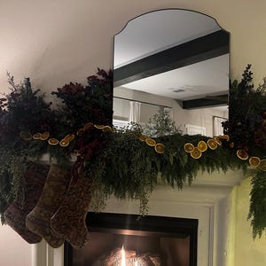 Dried Citrus Garland