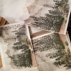Tammy ha aggiunto una foto del proprio acquisto