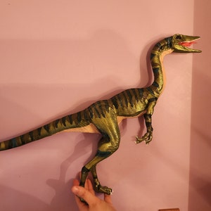 Emily added a photo of their purchase